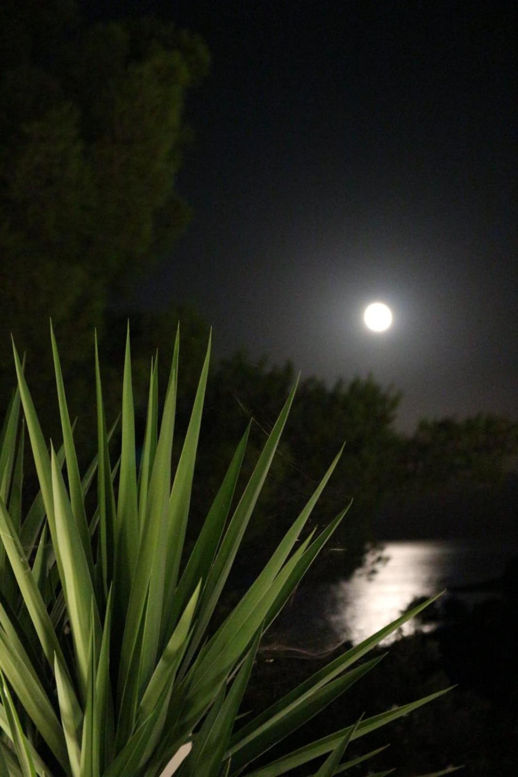 Holiday Hvar Vrbanj Exterior photo
